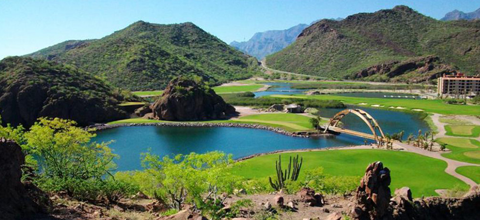 Existe un oasis entre el oceano y el desierto